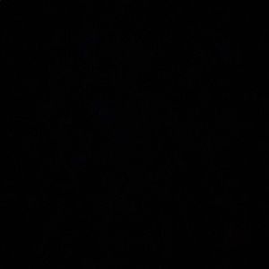 Meet your Posher, Shania